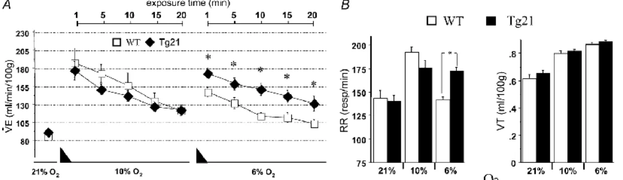 Figure  15.  La  réponse  ventilatoire  à  l’hypoxie  aigüe  chez  les  souris  contrôles  et  Tg21  adultes
