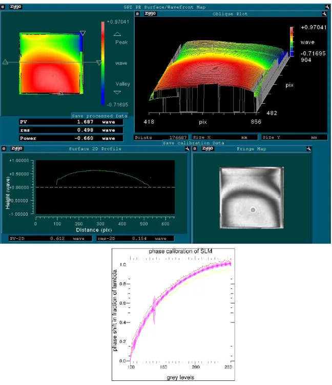 Figure 5: Calibration of the SLM loaded with a phase ramp on the vertical direction, on the ZYGO  interferometer