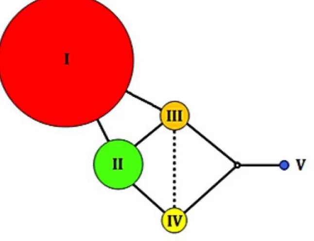 Figure 2.2: Haplotype network of the five mtDNA  haplotypes observed in Abies balsamea