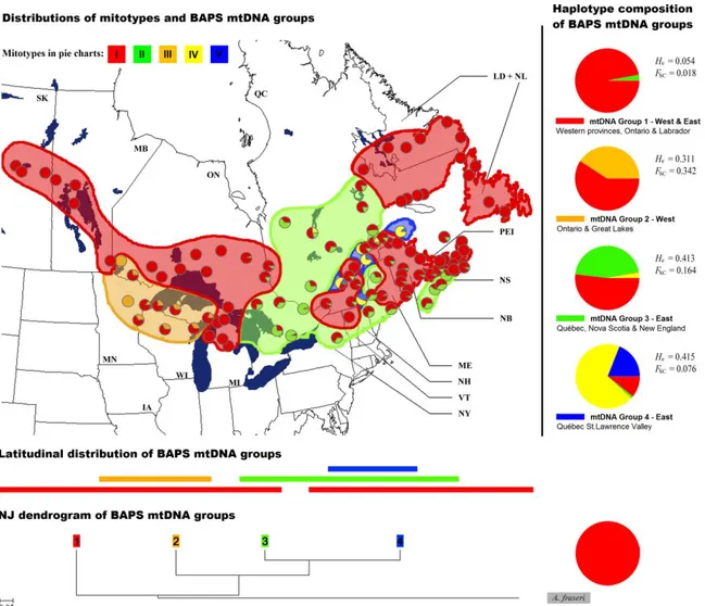 Figure 2.3: Geographical distribution of mtDNA haplotypes for 107 populations of Abies balsamea