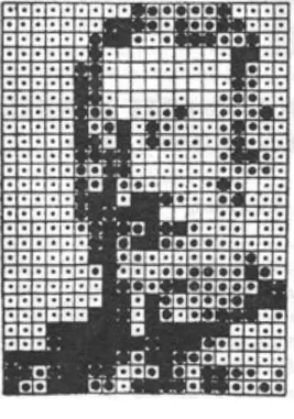 fig. 11  Analyse d'une image en vue de son entrée en ordinateur. L'image  est traduite à partir d'un réseau (x,y) dont chaque point est  qualifié selon une échelle de 1 à 7 degrés