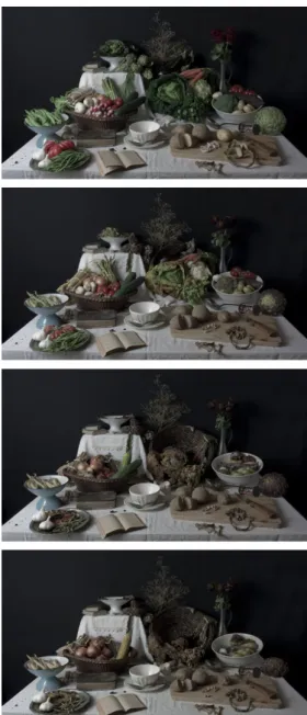 Figure 20 - Nature morte vivante de légumes avec  chrysalide, Stéphane Soulié,  #1 • Vidéo haute définition en couleur,  muette avril à août 2011 • 119 jours (3765 photos)