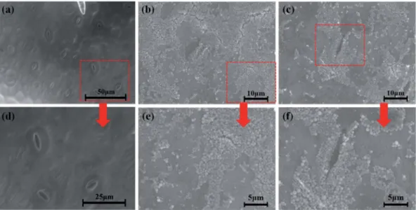 Fig. 5 ESEM images of H 2 N-PLA-NS on the surface of cucumber leaves. (a) Foliage image using nanoparticles as a control, (b) image with H 2 N- N-PLA-NS, (c) image after washing, and (d – f) magni ﬁ ed images in indicated speci ﬁ c regions in (a), (b) and 