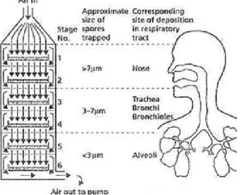 Figure  1.8  6  stages  Andersen  cascade  impactor  mimicking  the  deposition  in  the  respiratory  tract  (adapted from http://archive.bio.ed.ac.uk) 