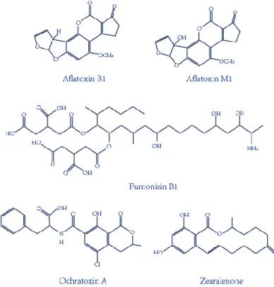 Figure 1-1: Chemical structures of the important mycotoxins. 