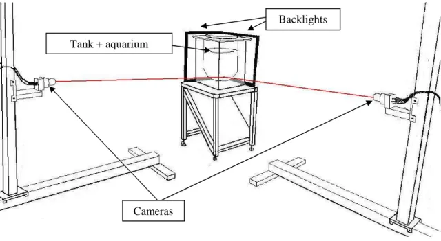 Figure 1 : Schematic diagram of the optical trajectography device 