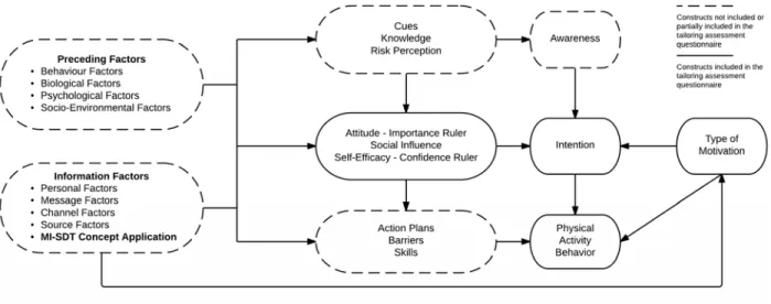 Figure 5 - Theoretical framework of the DEF tailored intervention   