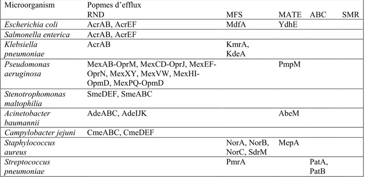 Tableau 4.1 : Classification des pompes d’efflux causant la résistance aux fluoroquinolones  chez les bactéries