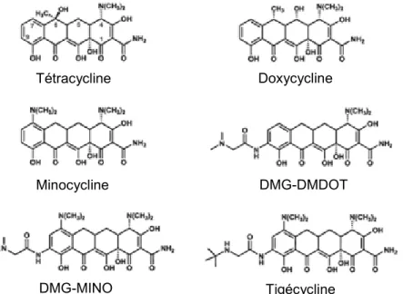 Figure 5.1 : Structure des TCs et glycylcyclines Adapté de (123). 