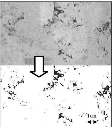 Fig. 6: Quantification of color change on a marble tile due  to climatic alteration 