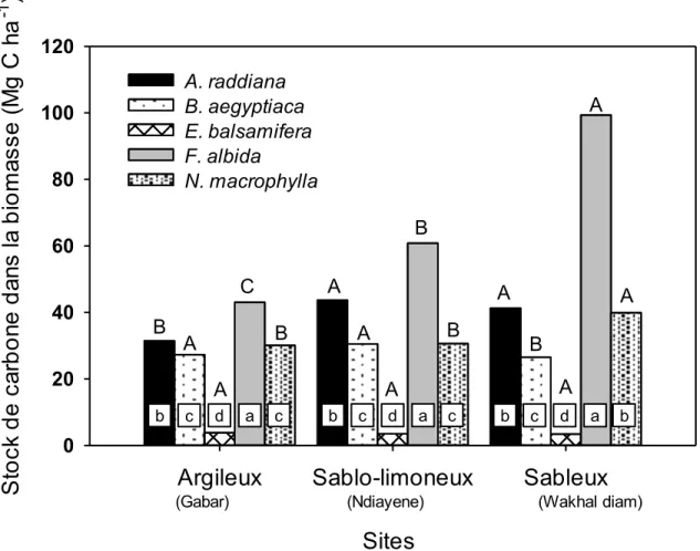 Figure 2.3 : Influence de l’interaction entre la texture de sol et l’espèce pour la quantité de  carbone stockée dans la biomasse aérienne et épigée dans les sites de Gabar,  Ndiayène et  Wakhal diam