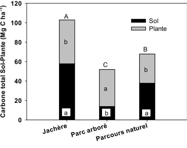 Figure  2.5. :  Quantité  totale  de  carbone  (sol+plante)  stockée  dans  les  technologies  agroforestières