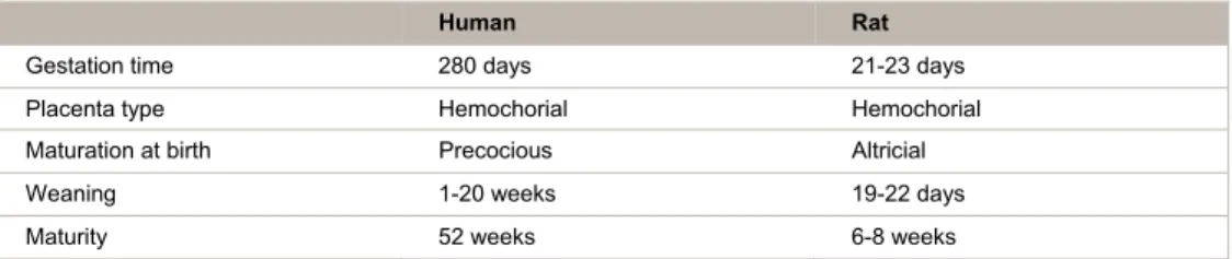 Table 1. Speceies, rats vs humans, comparison of placentation and development timing status