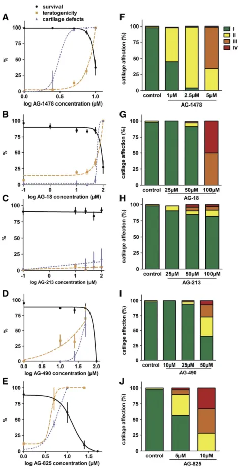 Fig. 3.Survival, teratogenicity and cartilage defects upon exposure to EGF pathway inhibitors