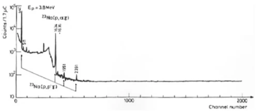 Figure 3.3 – Exemple de spectre PIGE sur une cible de sodium.