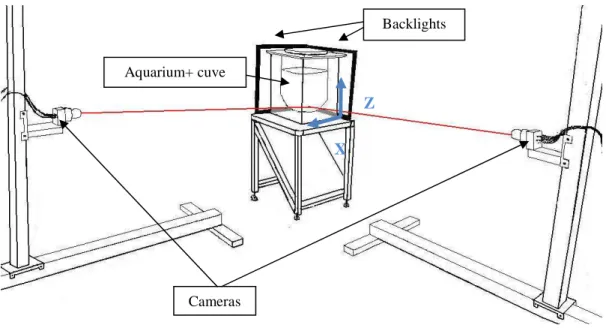 Figure 1. Représentation schématique du dispositif de trajectographie optique  