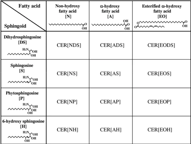 Figure 1.11 Les différentes classes de céramides  (Tirée de (Masukawa, et al., 2008)) 