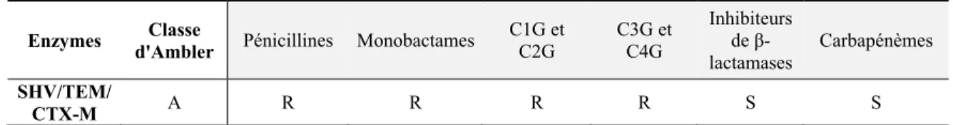 Tableau 7. Phénotypes de résistance aux β-lactamines associés à la production des  principales BLSE de types SHV, TEM et CTX-M