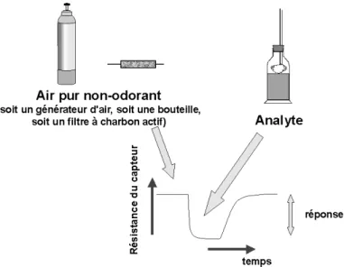 Figure 10 : Fonctionnement en cycle de la mesure par capteur à oxyde métallique. 