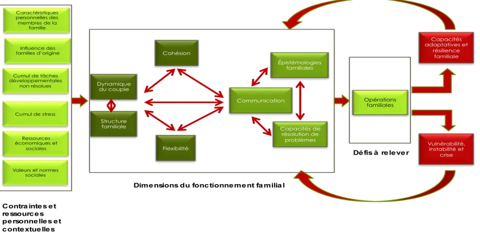 Figure 2 : Modèle multidimensionnel du fonctionnement familial 