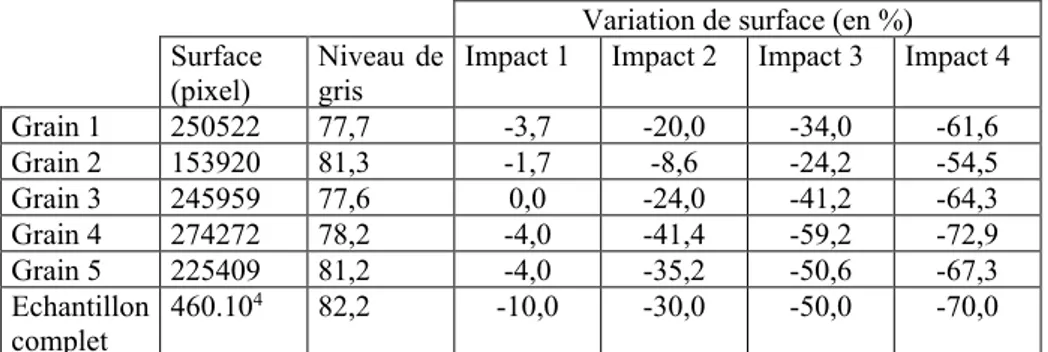 Figure 8 : Section verticale de l’échantillon obtenue par RMT après impacts.  
