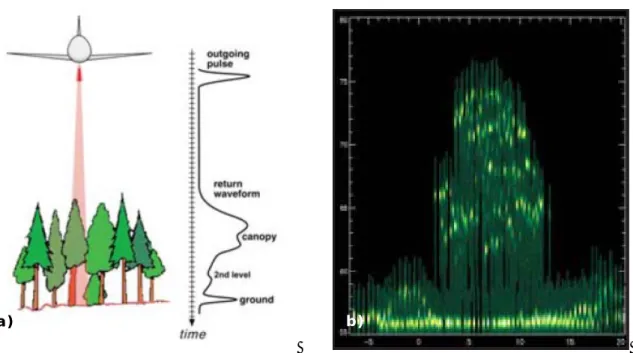 Figure 9 : a) Schématisation du signal multi-écho réfléchi. b) Exemple de  signaux réfléchi lors du survol de couvert végétal