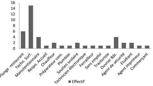 Figure 2 : Répartition des professions après émigration 