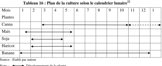 Tableau 16 : Plan de la culture selon le calendrier lunaire 22 Mois  Plantes  1  2  3  4  5  6  7  8  9  10  11  12  1  Canna  Maïs  Soja  Haricot  Banane 