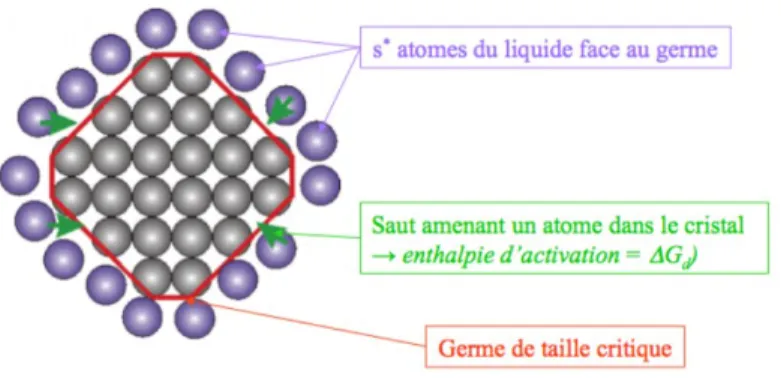 Figure 8: Schéma de la diffusion des atomes dans le germe 23