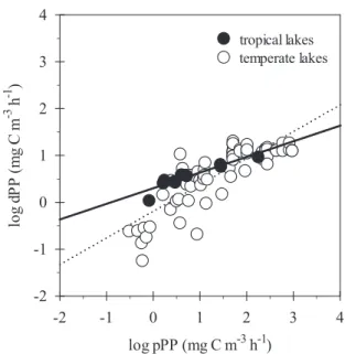Fig. 9. Relationship between log(pPP) and log(dPP) in several African large tropical lakes (solid line, model I regression, our dataset) and several temperate lakes (dotted line, model I regression, data from Fouilland and Mostajir 2010)