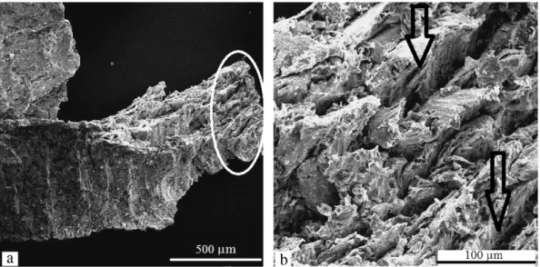 Fig. 11. SEM micrograph of powders collected in dust suction machine after 5 cycles of jet milling.