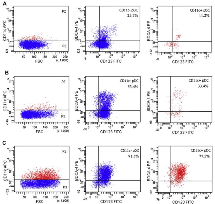 Figure 4. CD11c  pDC are immature cells and differentiate into mature pDC expressing CD11c when cultured with IL-3, with or without CpG ODN.