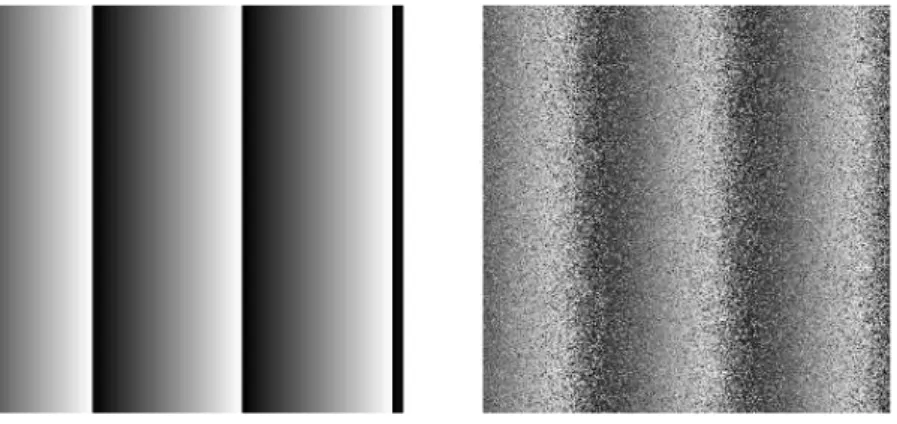 Fig. 3.6 – A gauche : franges de corrélation idéales simulées numériquement. A droite : les mêmes franges bruitées à l’aide d’un bruit gaussien.
