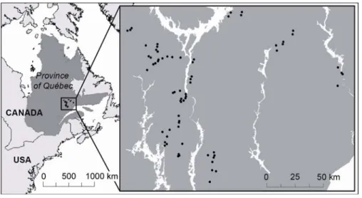 Figure 1. Study area and distribution of sampling sites in the old-growth boreal forest of the  North Shore region of Québec, Canada