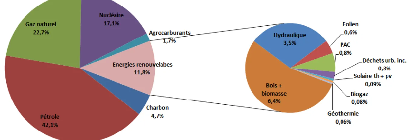 Fig. 15 Source d’énergie dans la consommation finale en France, 2010  Source des données SOES, 2011, www.23dd.fr, Consulté le 12 avril 2013 