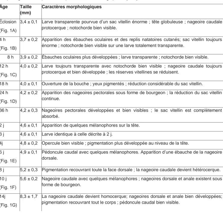 Tableau I. - Développement morphologique externe de Labeo parvus, de l’éclosion jusqu’à 29 j