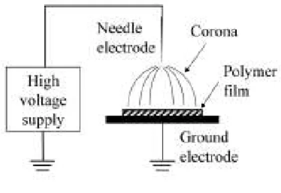 Figure 2-2 : Montage corona [24]. 