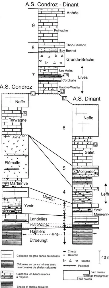 Figure 10. Composite lithological  columns for the Tournaisian and Lower  Viséan of the Condroz and Dinant  sedimentation areas (Hance et al