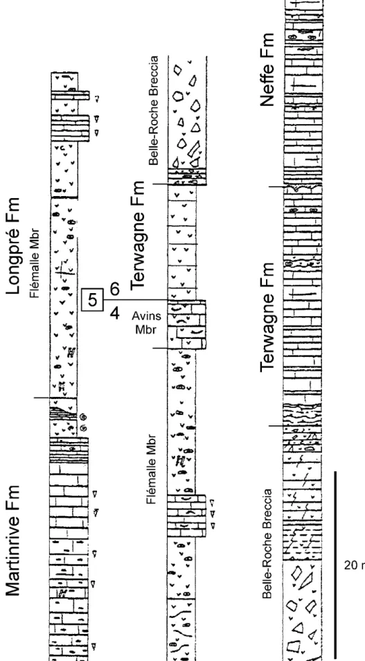 Figure 11. Partial lithological column of the Belle-Roche quarry. Note that the sequence 5 is lacking between the Avins  Member and the Terwagne Formation (Devuyst and Hance 2003)