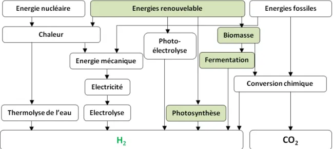 Figure I - 1: Voies de production d’hydrogène industriellement appliquées ou envisagées