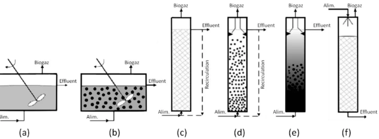 Figure I - 10 : Différentes configurations de réacteurs anaérobies continus. (a) : réacteur  continu à cuve parfaitement mélangée (CSTR) ; (b) : réacteur continu à cuve parfaitement  mélangée et support d’immobilisation, (c)  : réacteur vertical à lit fixe