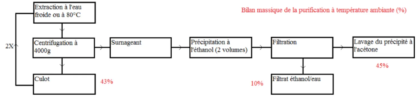 Figure 13. Schéma récapitulatif de la procédure de purification de la gomme de caroube brute