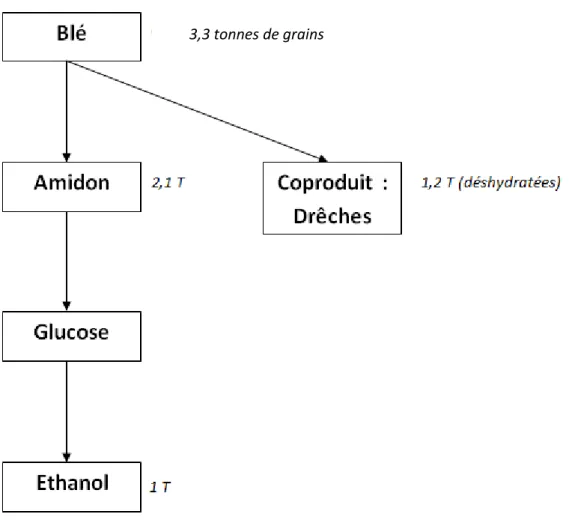 Figure 11 : Schéma de la production de bioéthanol à partir de blé 
