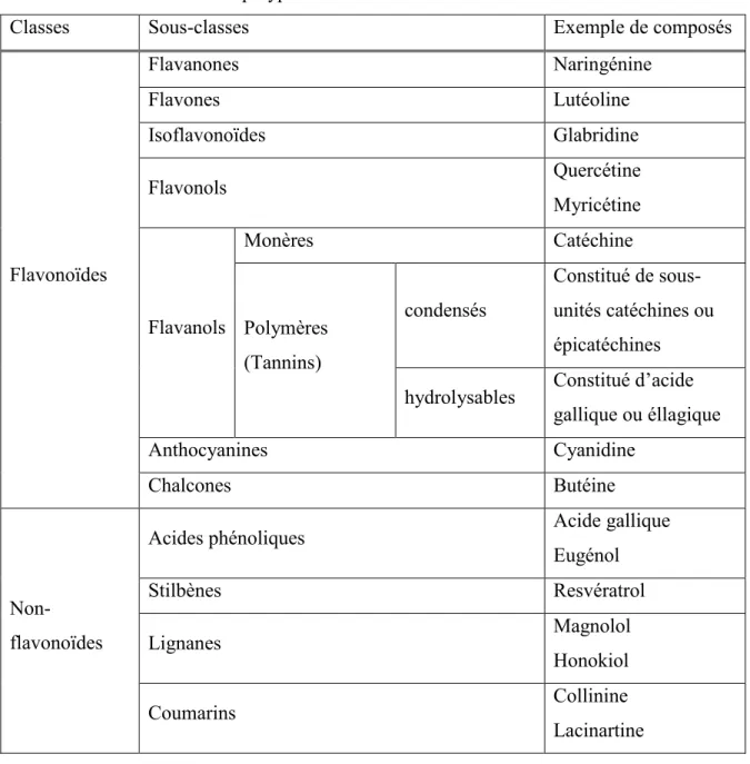 Tableau 1 : Classification des polyphénols. 