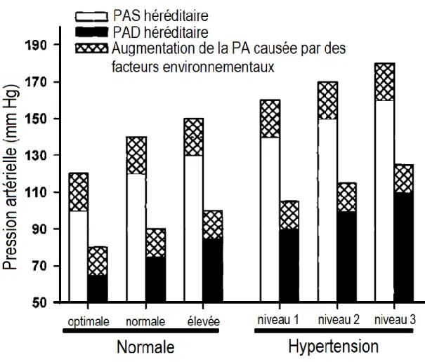 Figure 4: Effet additif des facteurs héréditaires et environnementaux sur les  niveaux de PA