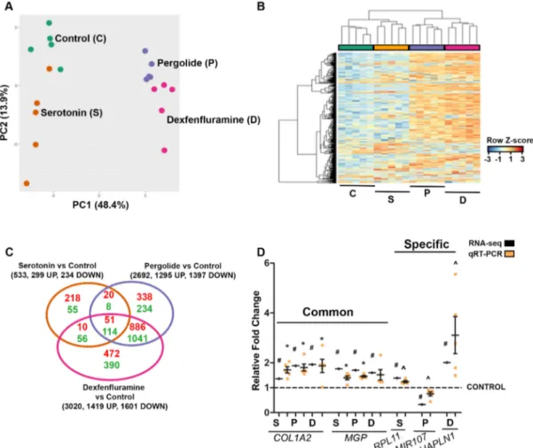 Figure 2. RNA-seq analysis of tricuspid valve (TV) transcriptomes indicate that Pergolide and Dexfenfluramine treatment shares the majority of differentially expressed genes (DEGs)