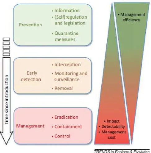 Figure 1. Schéma  représentant  les  stratégies  de  gestion  à  l’encontre  des  espèces  invasives  (Simberloff et al
