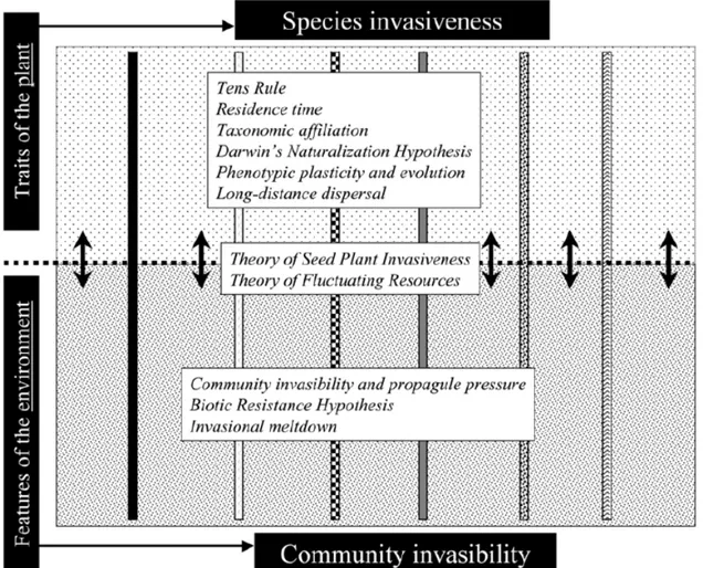 Figure 4. Schéma illustrant les concepts d’invasivité associée aux traits des plantes et d’invasibilité  liée aux caractéristiques de l’environnement (Richardson &amp; Pyšek 2006)