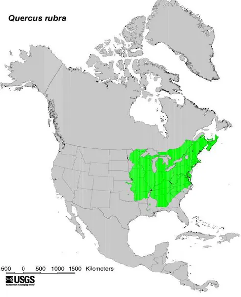 Figure 6. Distribution  naturelle  de  Q.  rubra  représentée  en  vert  clair  dans  son  aire  native  en  Amérique du Nord (Little 1971)