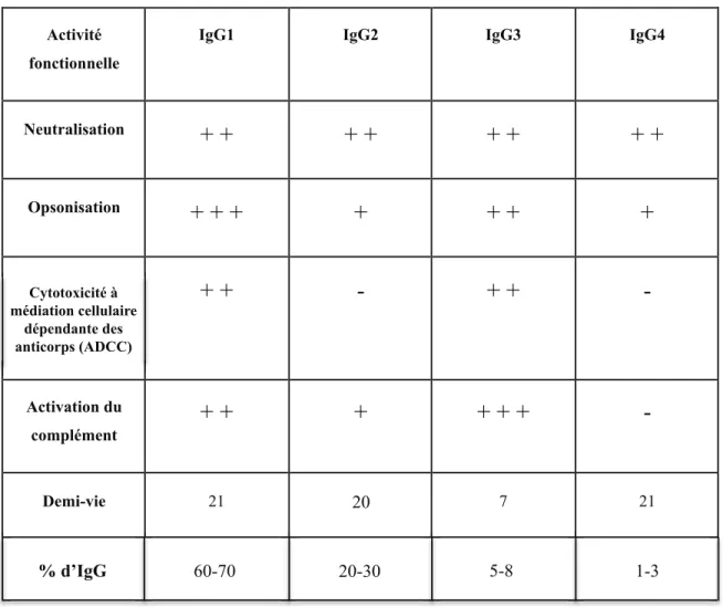 Tableau  1. Activité fonctionnelle des différentes sous-classes d'immunoglobulines G  humaines